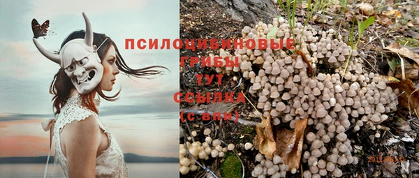 spice Гусиноозёрск