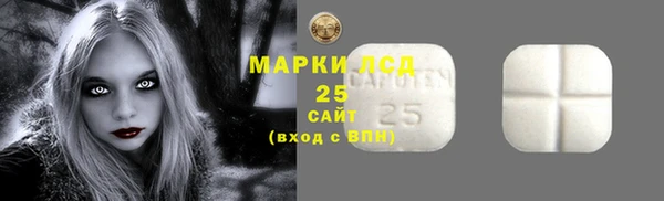 spice Гусиноозёрск