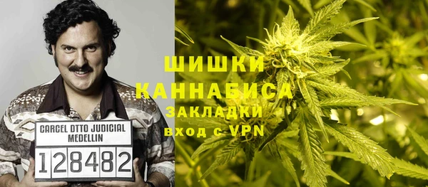 spice Гусиноозёрск