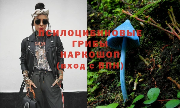 прущая мука Гусь-Хрустальный