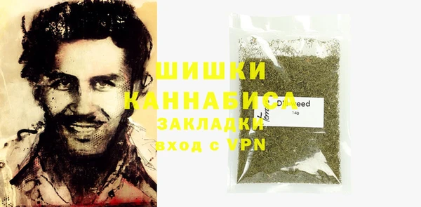 spice Гусиноозёрск